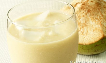 Vegetarian Recipe: Coconut Milkshake