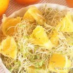 Vegan Recipe: Alfalfa Sprout and Orange Salad