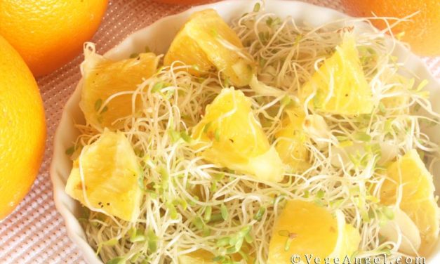 Vegan Recipe: Alfalfa Sprout and Orange Salad