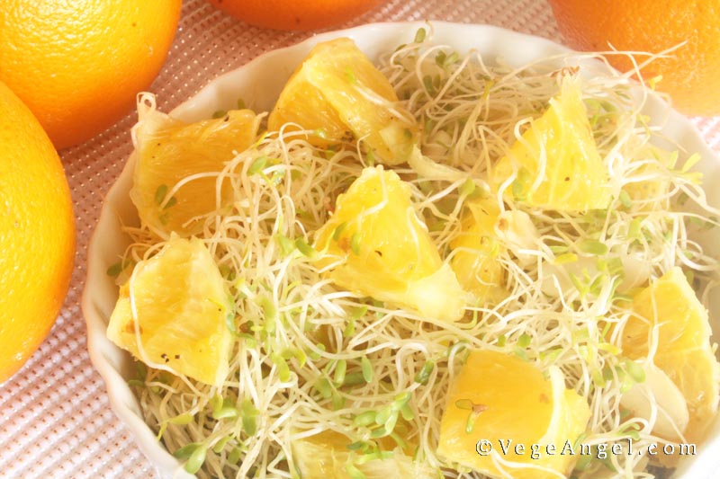 Vegan Recipe: Alfalfa Sprout and Orange Salad