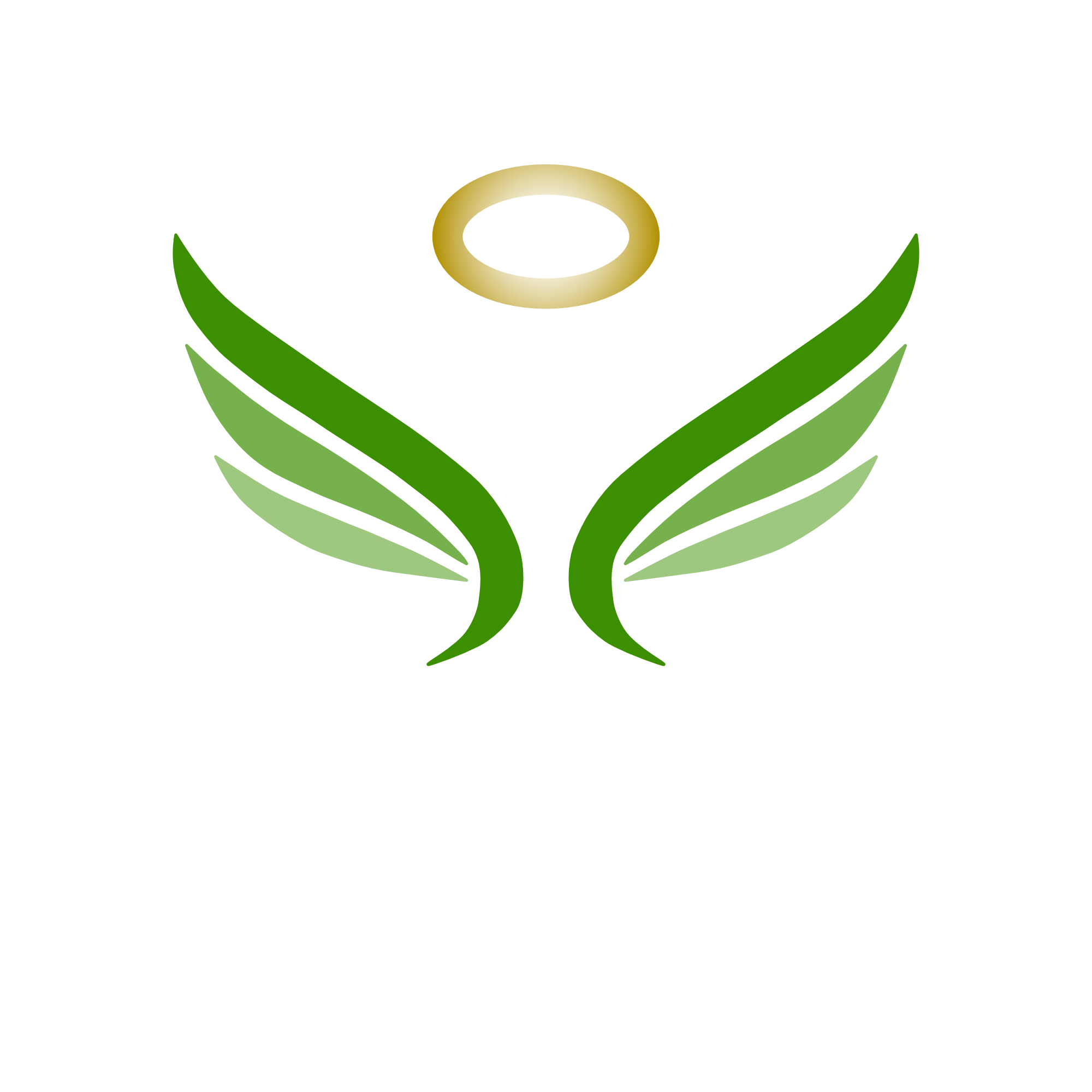 VegeAngel